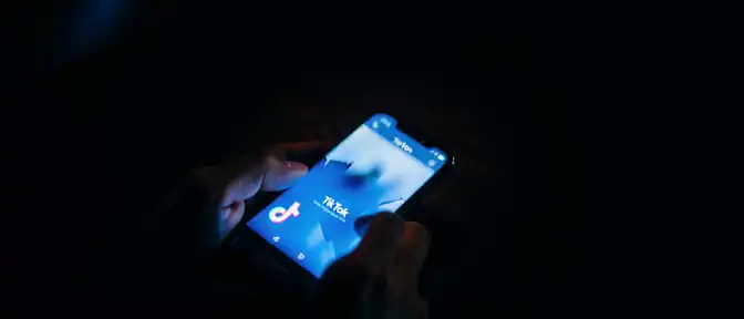 Тео Франкен выступил с инициативой по ограничению TikTok в рамках Евросоюза